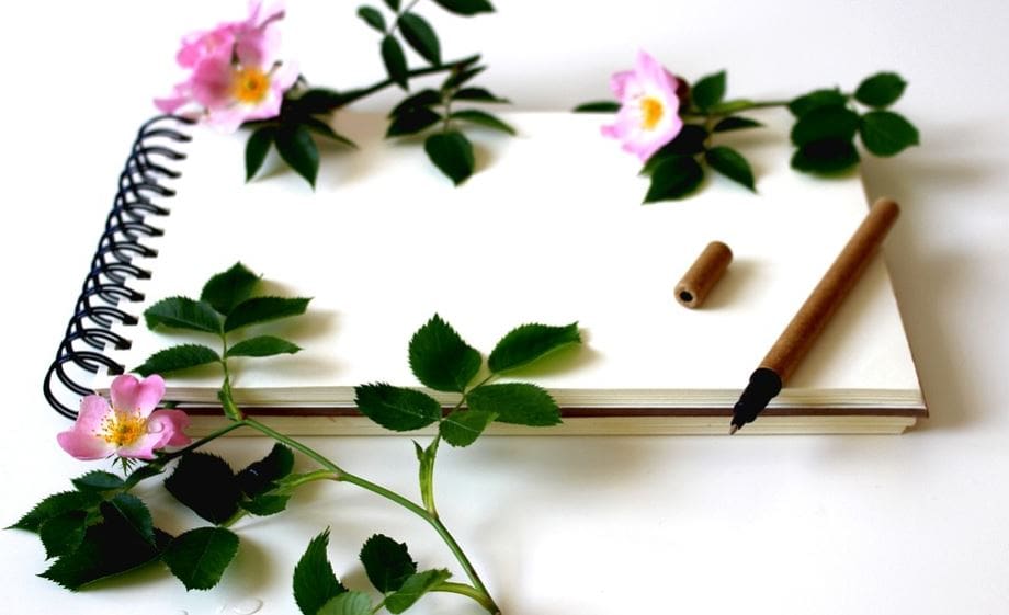 New year's resolutions 2019