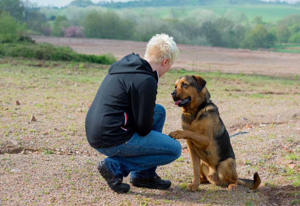 Rescue dogs, resilience and surviving sexual violence - Marie Yates